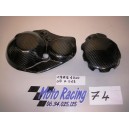 PROTECTION CARTER 1000 CBR 2008 A 2013 CARBONE